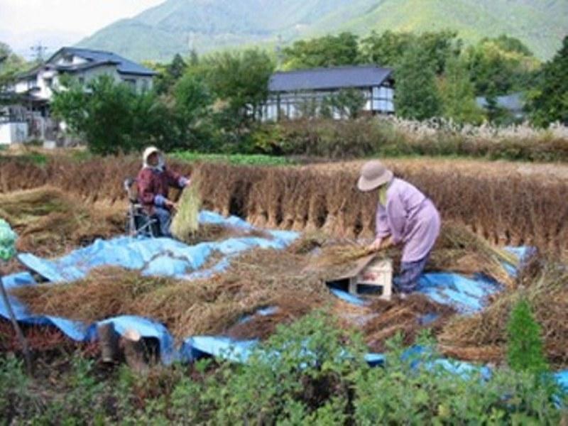 Village Inn Seizanso Macumoto Exteriér fotografie